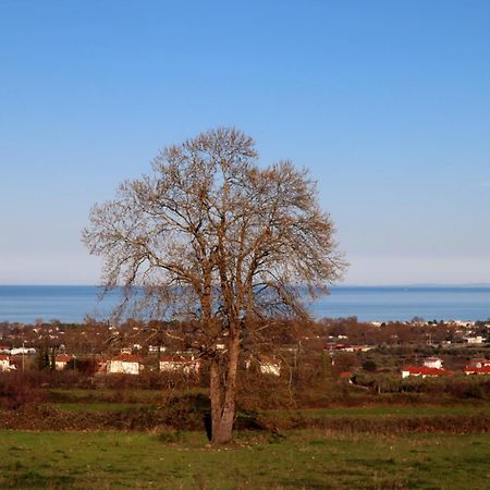 Elioj House Villa Leptokaryá Bilik gambar