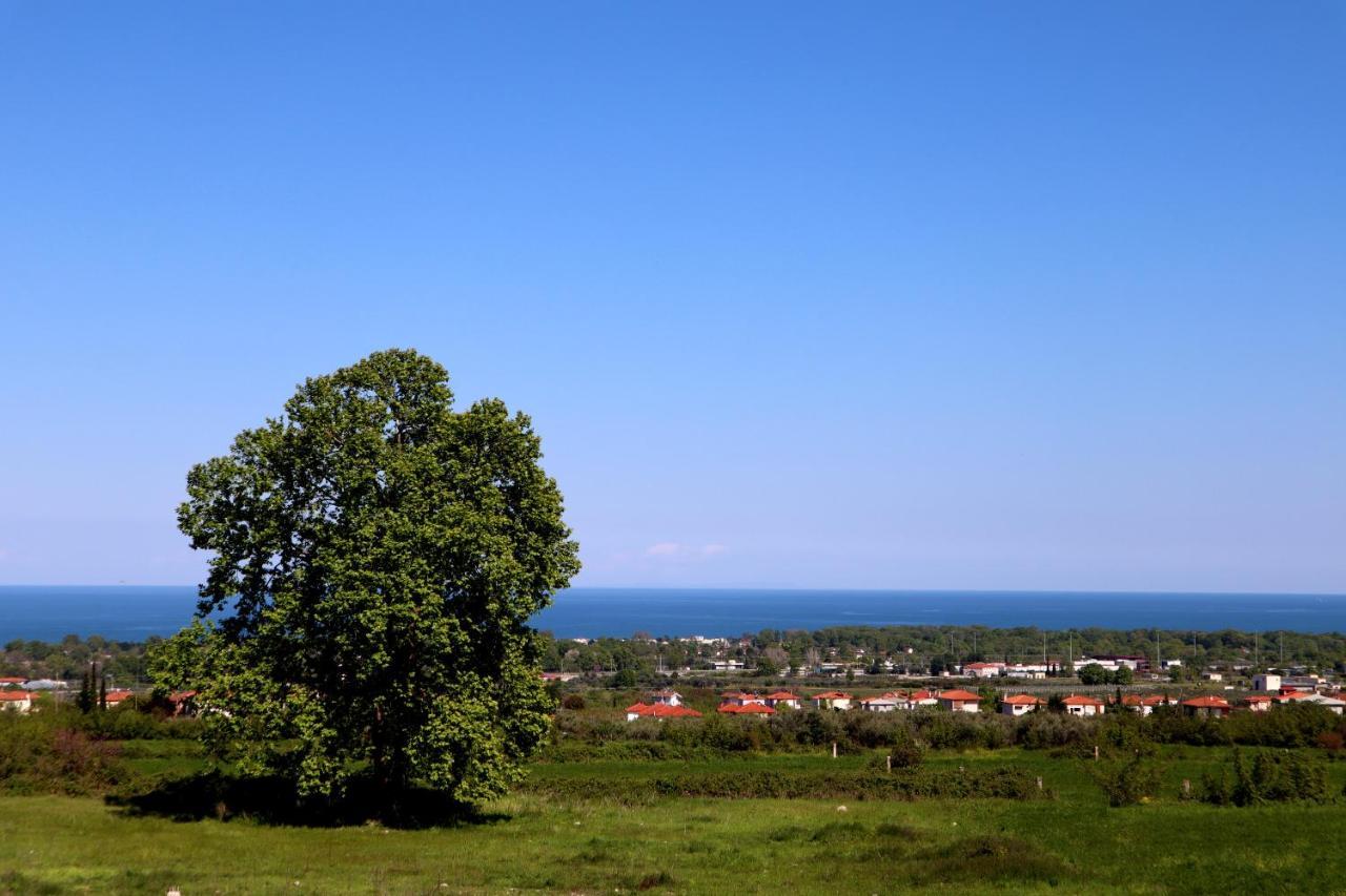 Elioj House Villa Leptokaryá Luaran gambar