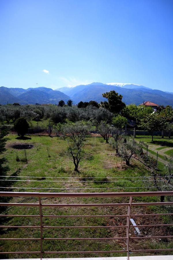 Elioj House Villa Leptokaryá Luaran gambar